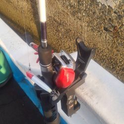 和歌山県白浜沖でイカメタル